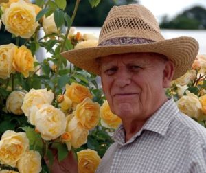 David Austin Rosenzüchter Charles Austin Rosenblütenaufstrich Rosen-Marmelade Rosenfeines Rosen-Huus